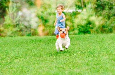 A child and dog playing on a lawn in Long Island