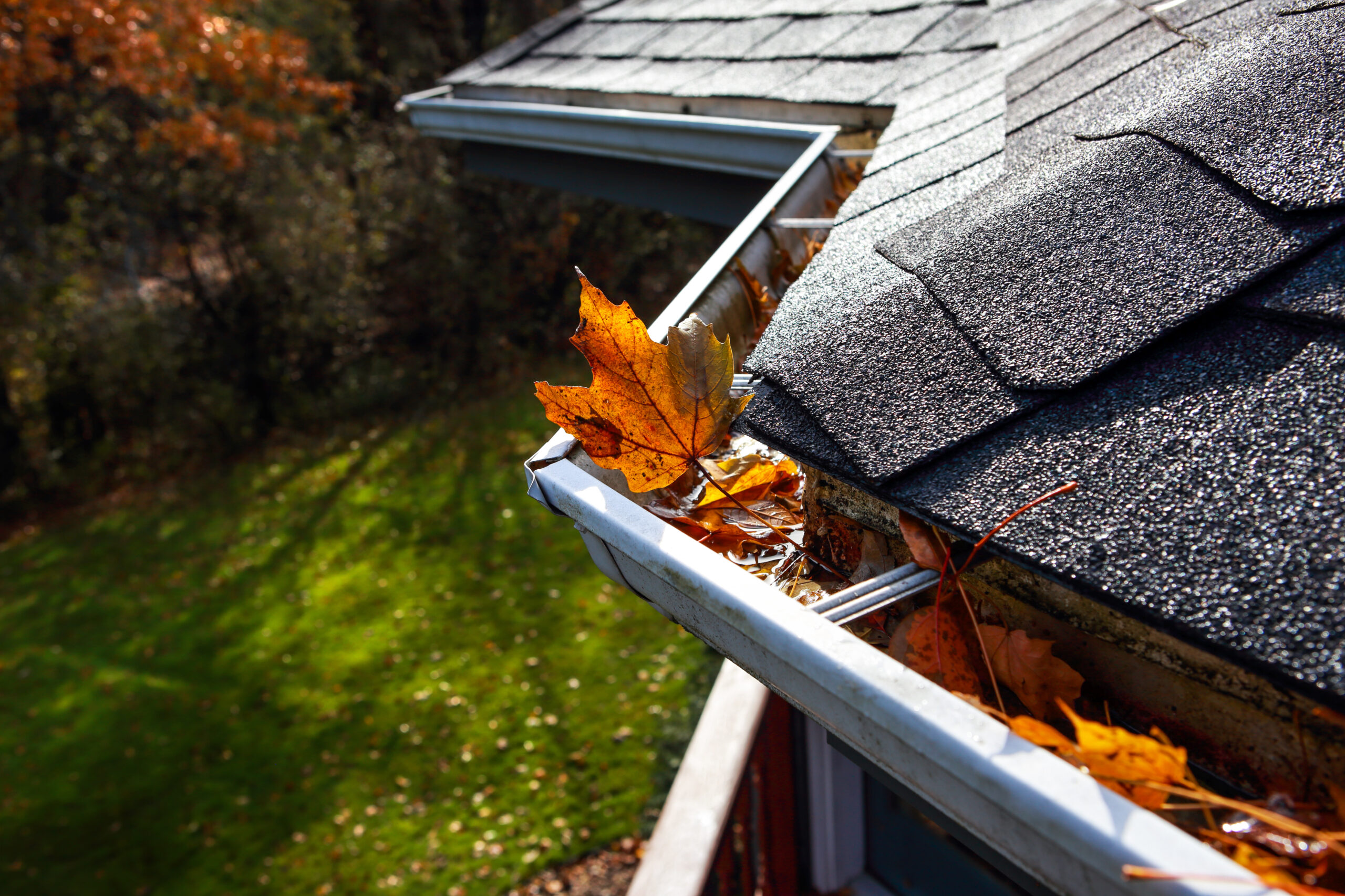 Roof line gutter clogged with leaves. Protect your home with Arrow's gutter protection services.