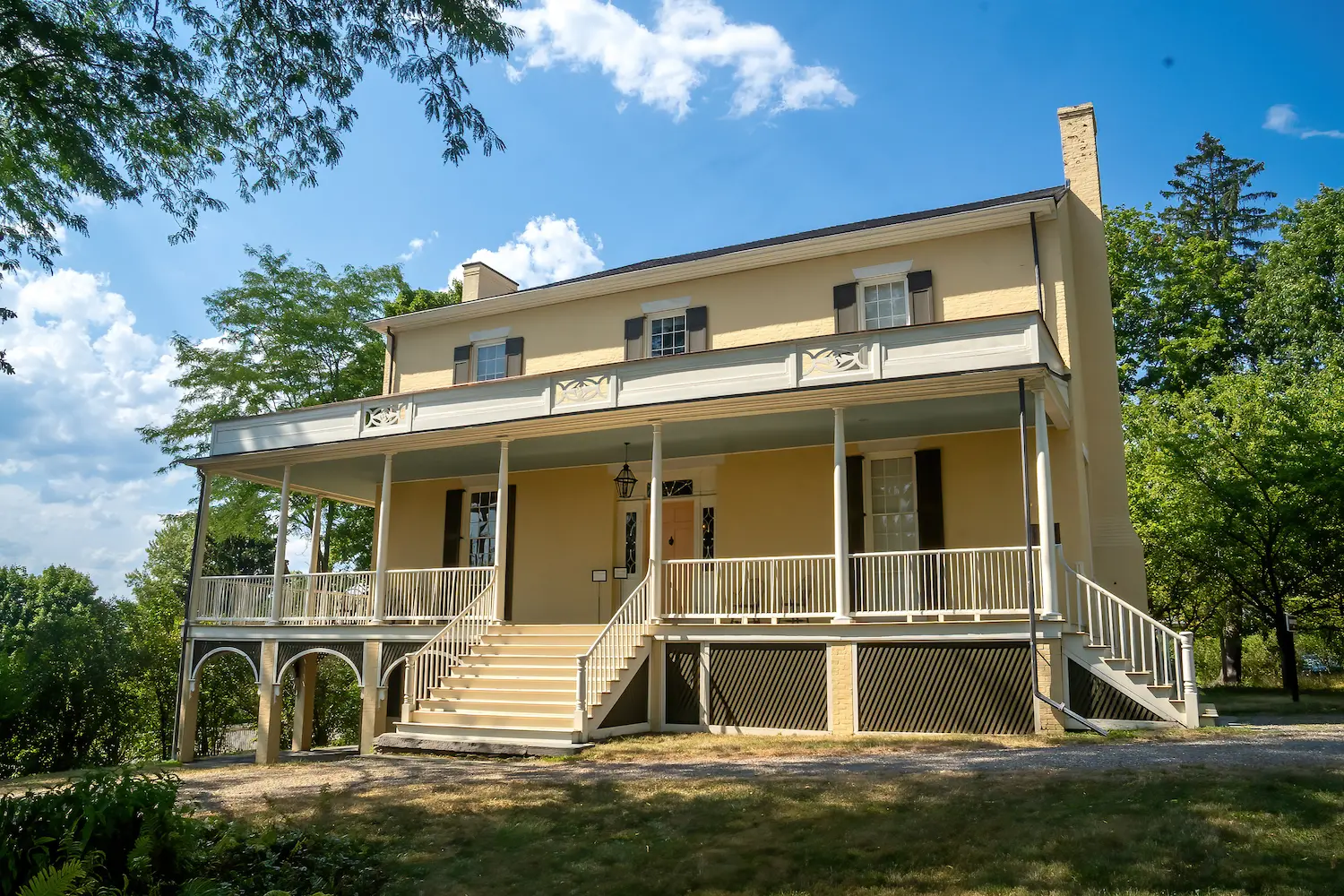 New York house before wildlife services