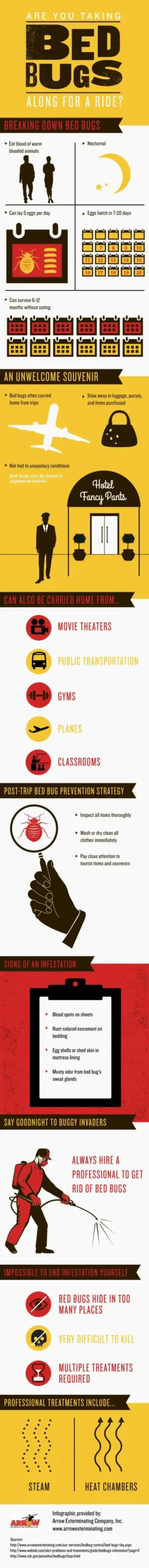 Bed bug infographic - keep pests away from your home with Arrow Exterminating Company in NY