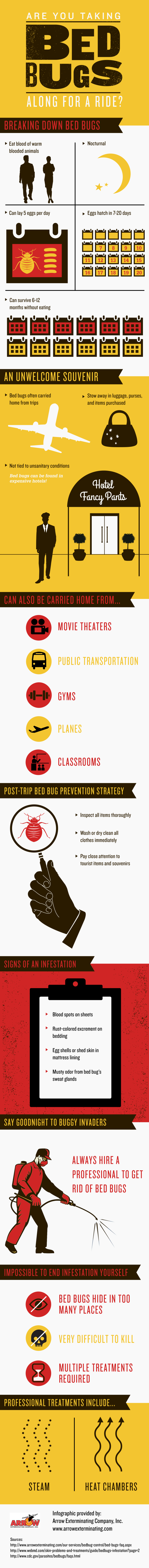 Are-You-Taking-Bed-Bugs-Along-for-a-Ride-Infographic