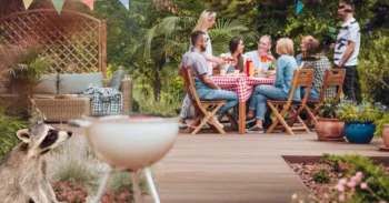 Group of people at an outdoor bbq with a racoon near by - keep pests away from your home with Arrow Exterminating Company in NY