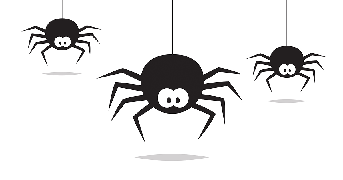 A Few Fun Facts About The Common House Spider In Indianapolis