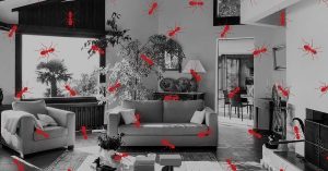 Red Ant Motif over Black & White Living Room Photo