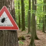 Outdoor area with a Beware of Ticks sign on a tree - keep pests away from your home with Arrow Exterminating Company in NY
