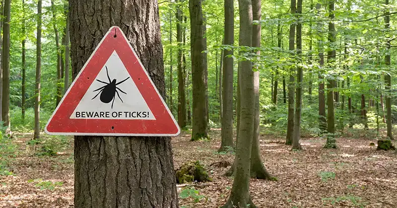 Outdoor area with a Beware of Ticks sign on a tree - keep pests away from your home with Arrow Exterminating Company in NY