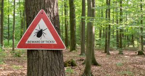 'Beware of Ticks' sign in the forest