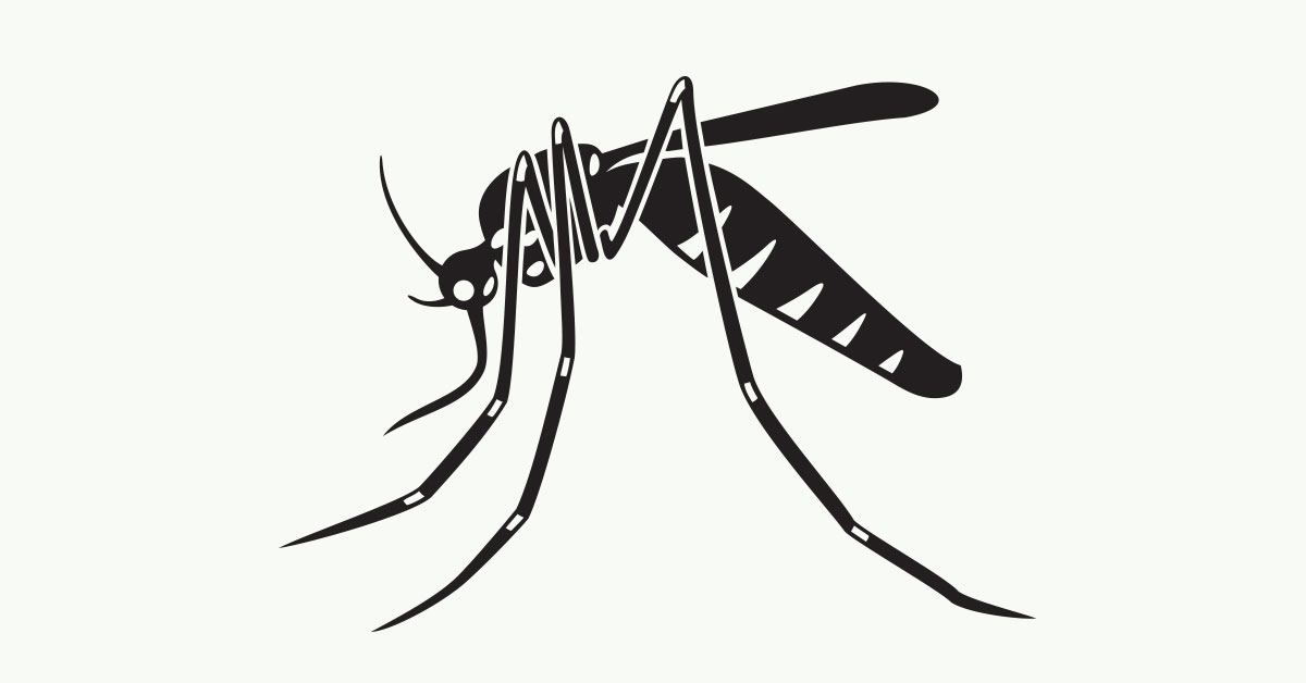Black and White mosquito motif