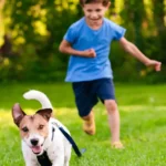 Child ad dog playing in the hard of a suburban home - keep pests away from your home with Arrow Exterminating Company in NY