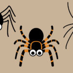 Cartoon spiders