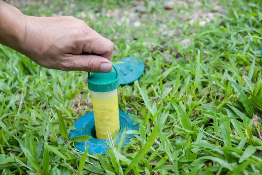 Close-up of a hand pulling a yellow termite bait cartridge out of a green plastic station embedded in a manicured green lawn.