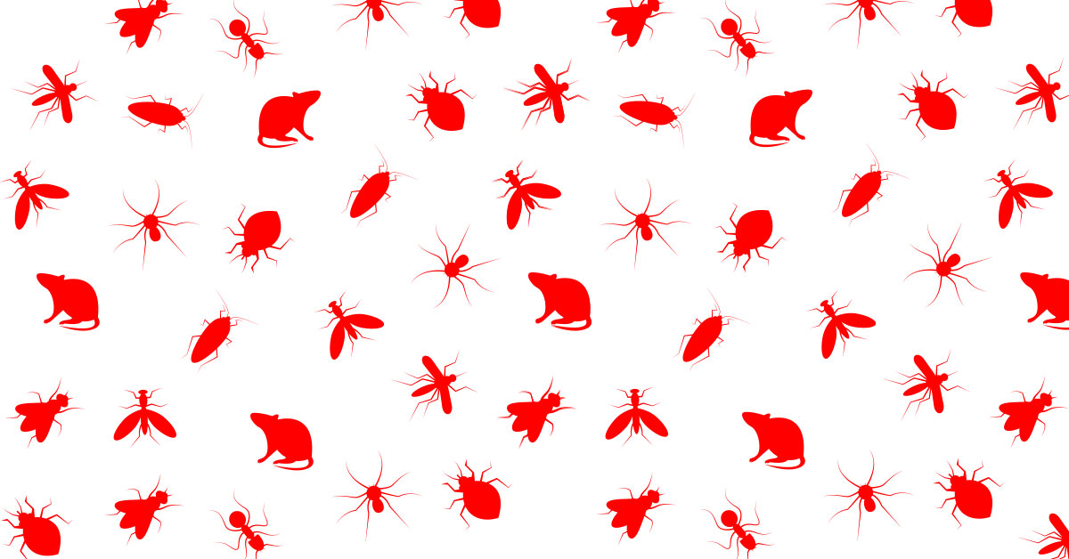 Red motif of ticks, spiders, rats, and more.