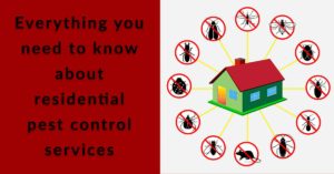 Residential Pest Control