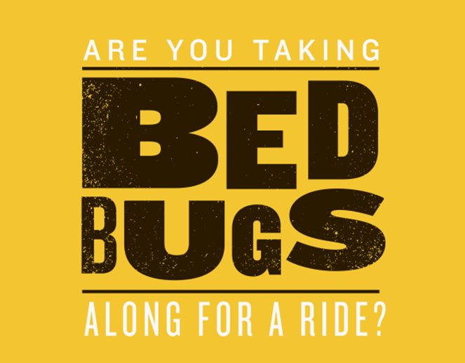 Are you taking bed bugs along for a ride?
