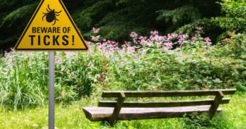 Yellow "Beware Ticks" sign next to a bench and wild greenery.