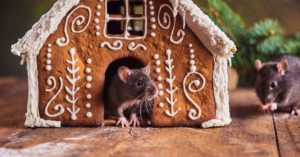 Mice in Gingerbread House