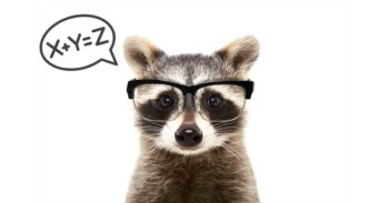 Raccoon wearing glasses