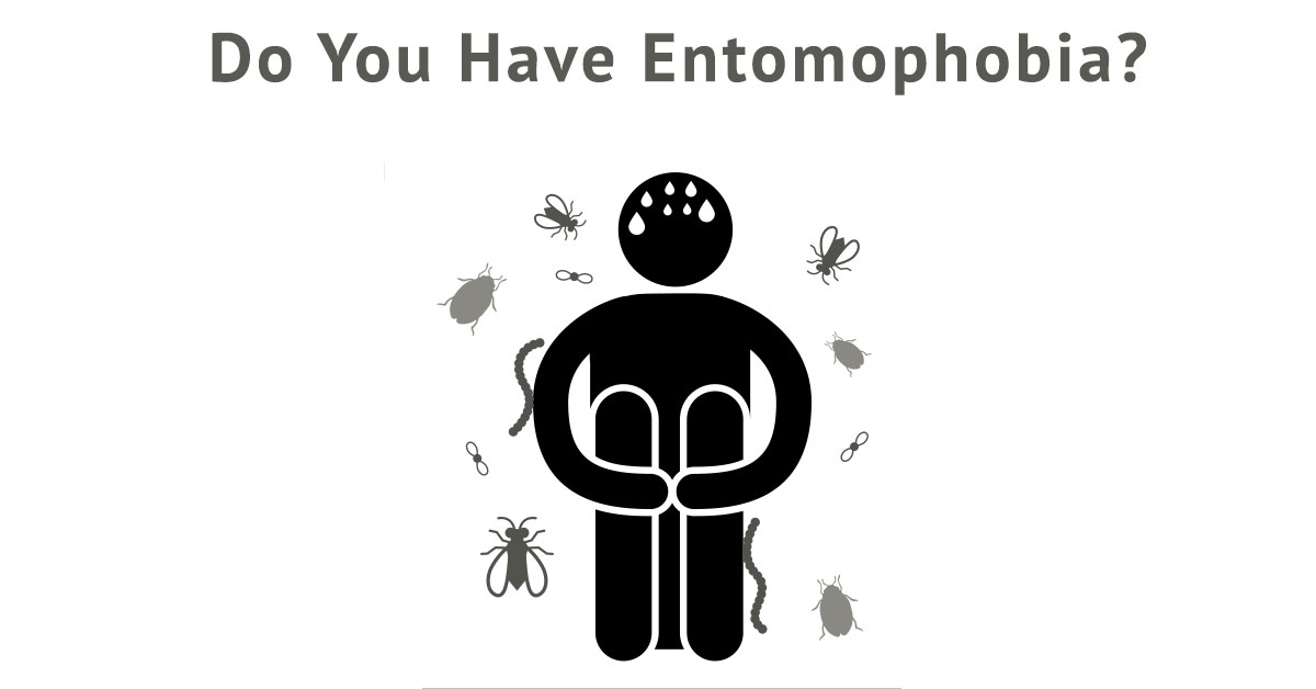 do-you-have-entomophia