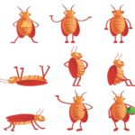 Cartoon cockroaches posing