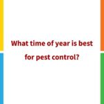 What time of year is best for pest control - keep pests away from your home with Arrow Exterminating Company in NY