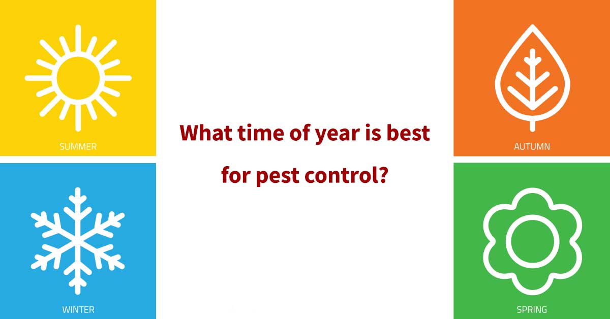 What time of year is best for pest control - keep pests away from your home with Arrow Exterminating Company in NY