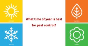 What time of year is best for pest control?
