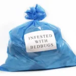 A blue bag used for bed bugs - keep pests away from your home with Arrow Exterminating Company in NY