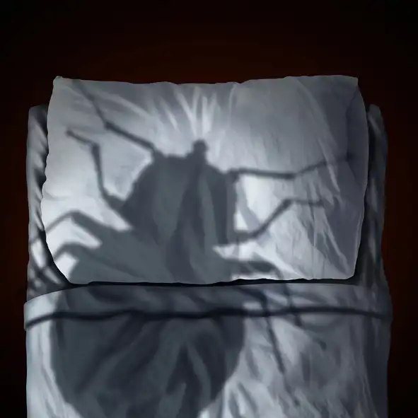 Large shadow of a bed bug looming over a bed - keep pests away from your home with Arrow Exterminating Company in NY