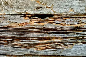 Piece of wood with serrated edges