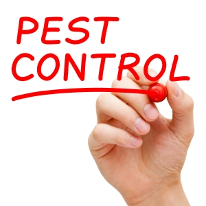 commercial-pest-control