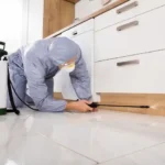 Pest control technician treating the base boards in a kitchen - keep pests away from your home with Arrow Exterminating Company in NY