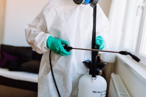 Exterminator in work wear spraying pesticide with sprayer.