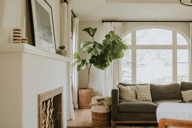 Cozy home living room. Learn how to prepare your home for carpenter ant season from the pest control experts at Arrow Exterminating.