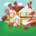 Bugs inside the home