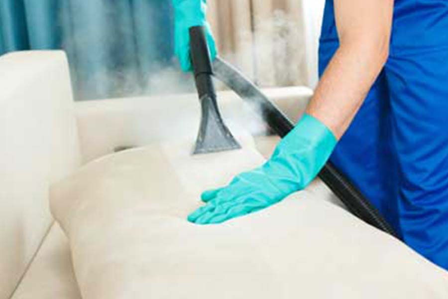 steam cleaning a couch to get rid of hiding bed bugs