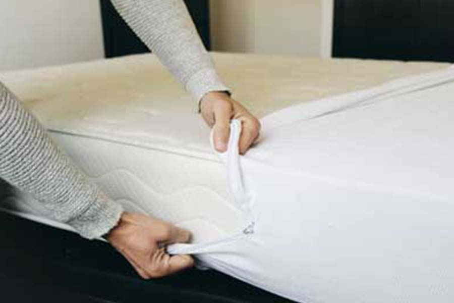 putting a mattress cover on a bed to prevent bed bugs