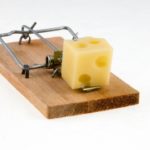 Mouse trap with cube of cheese.