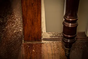 Termite saw dust at the base of a wooden staircase