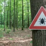 A tick activity warning sign in a wooded area. Here is a list of states that experience the most tick activity.