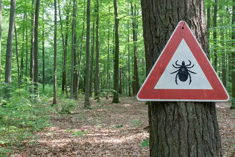 A tick activity warning sign in a wooded area. Here is a list of states that experience the most tick activity.