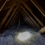 Homeowner searches attic for pests