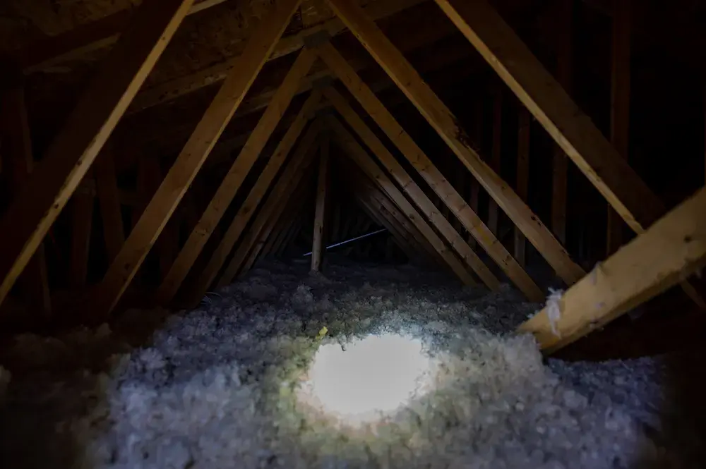 Homeowner searches attic for pests